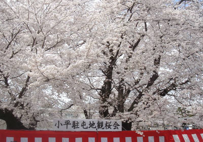 f0059673_21514934.jpg