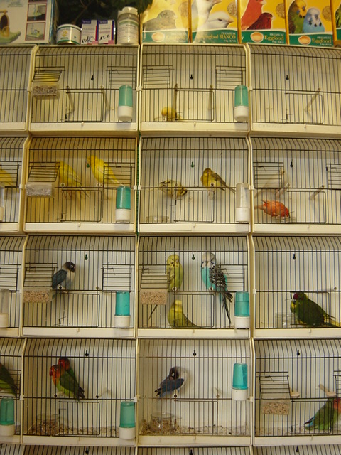 f0123277_2126346.jpg