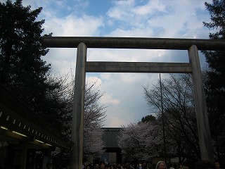 さくらさく　【北の丸公園＆靖国神社】_e0134878_1185745.jpg