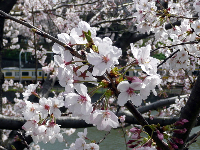 飯田橋から市谷へ_d0079081_184457.jpg