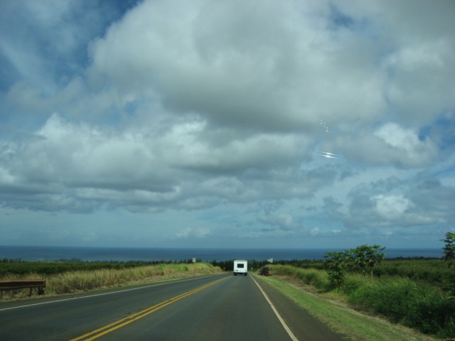d0012685_9405542.jpg