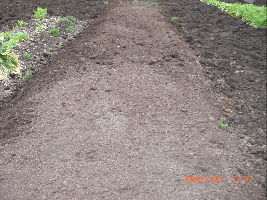 c0151898_2065842.jpg