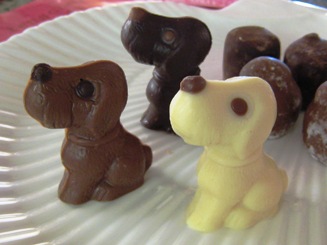 チョコレートの犬たち コッカー Plus チョコレートの犬たち コッカー Plus