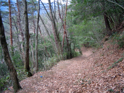 b0108100_2251078.gif