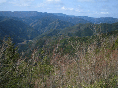 b0108100_22535548.gif