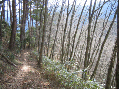 b0108100_22541610.gif