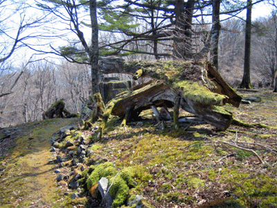 b0108100_22563636.gif