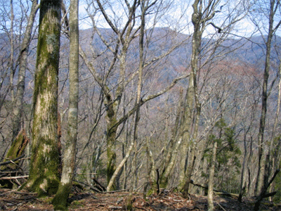 b0108100_22571942.gif