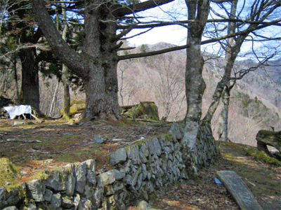 b0108100_2257358.gif