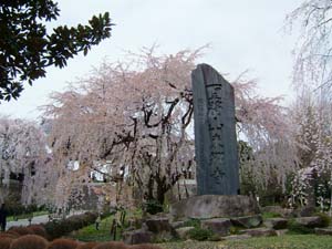 f0031709_1933369.jpg