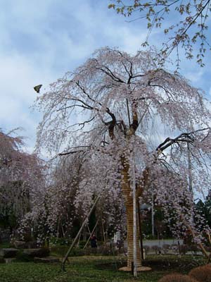 f0031709_1951757.jpg