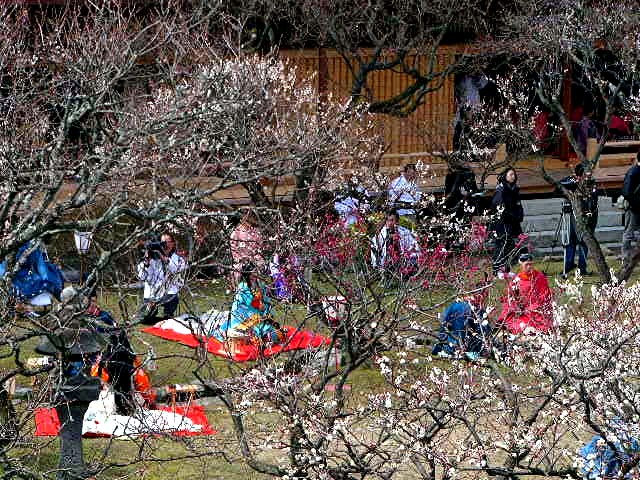 太宰府天満宮 写真集_a0042310_15315544.jpg