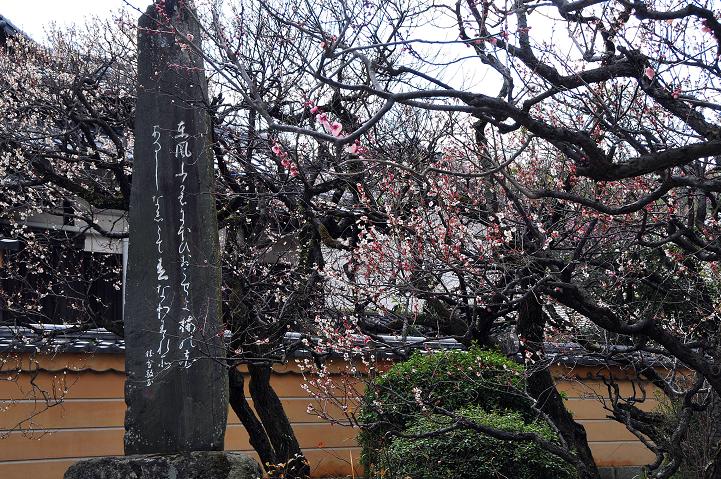 太宰府天満宮 写真集_a0042310_1533342.jpg