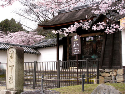 醍醐寺_e0048413_22533676.jpg