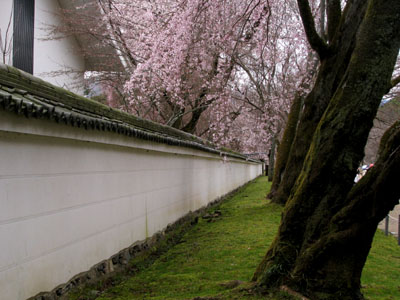 醍醐寺_e0048413_22535950.jpg