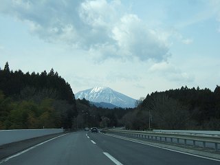 餃子と花粉とサクラ_d0143214_22501487.jpg