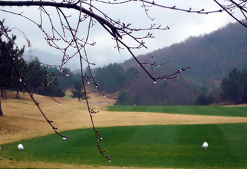 e0083517_21303231.jpg