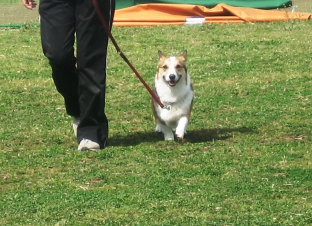 競技会_f0155118_0264173.jpg