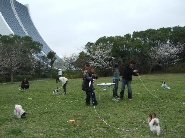 パパママ倶楽部　『春の潮風オフ！inお台場』♪_c0050220_22464961.jpg