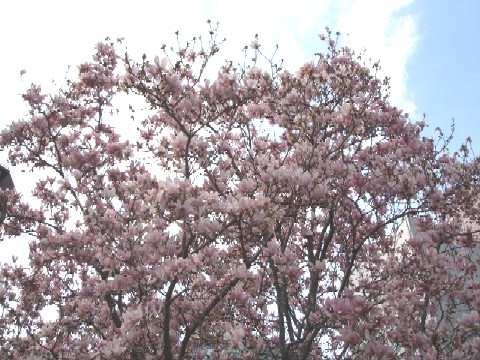 e0047322_0271217.jpg