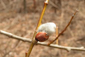 c0048023_1628838.jpg