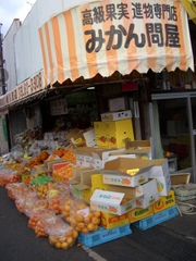 e0008223_11181547.jpg
