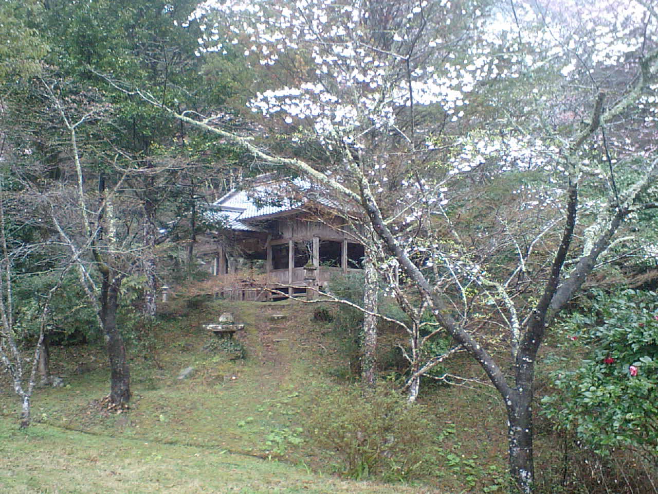 c0117028_9123770.jpg