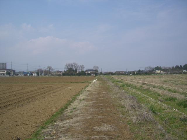 c0123029_17591329.jpg