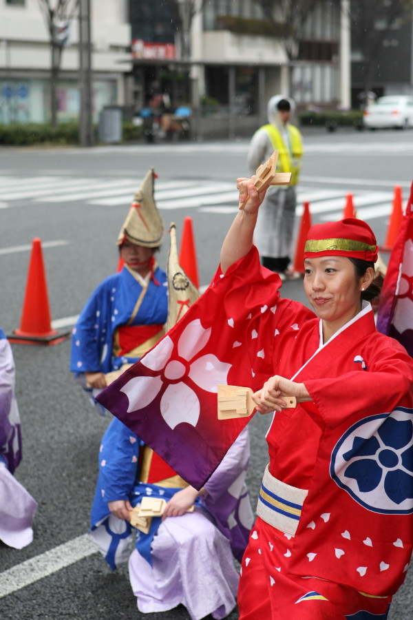 京都　さくらよさこい_a0095531_21252964.jpg