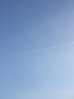 f0002534_19213181.jpg