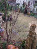 f0002534_19323081.jpg