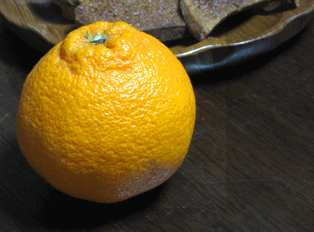 e0129137_2092465.gif