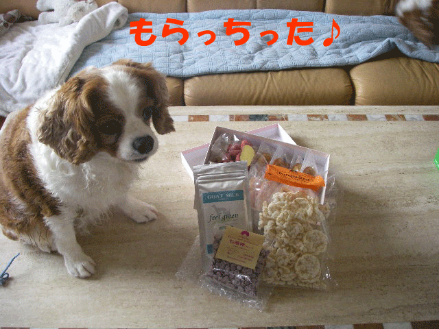c0136838_1516051.gif
