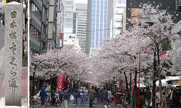 c0088739_22293640.jpg