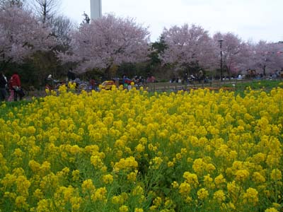 c0144340_2029977.jpg