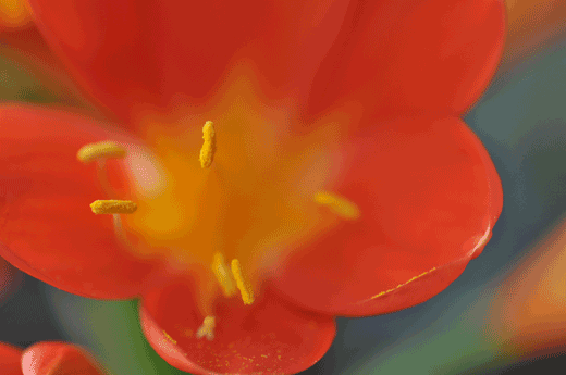 c0093046_9214221.gif