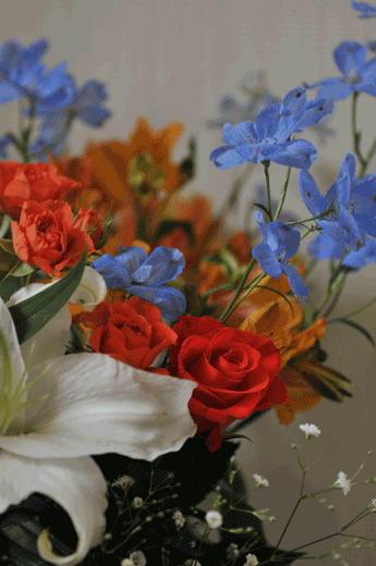 c0093046_9221528.gif