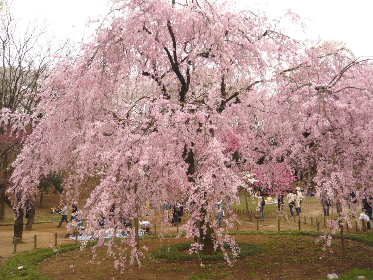 c0100848_13285251.jpg