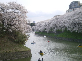 c0118352_2225275.jpg
