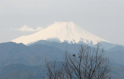a0044453_11505429.gif