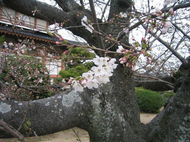 a0027555_9181521.jpg
