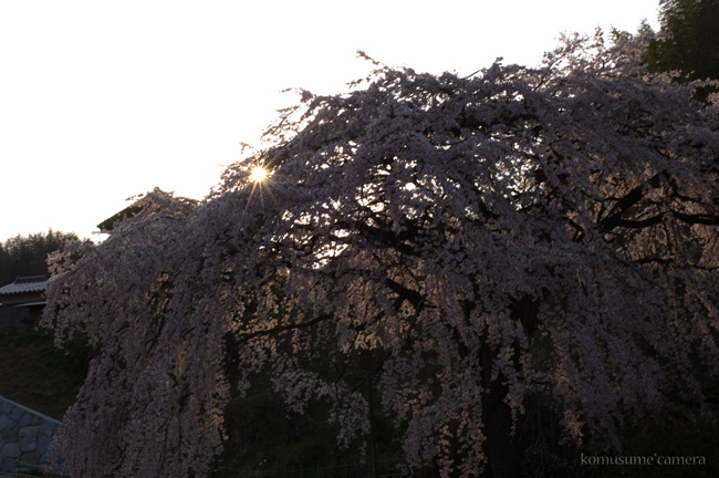 c0136759_21131388.jpg