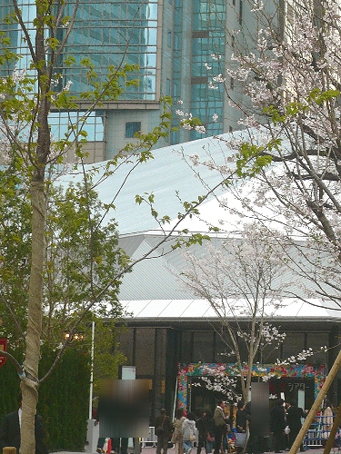 赤阪サカスakasakaＳＡＫＡＳＵの桜。。。.ﾟ｡*･｡♡♬_a0053662_11135124.jpg