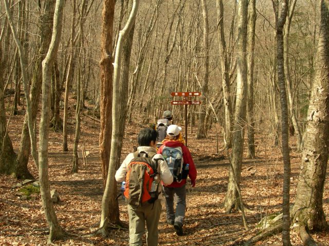 c0042869_92240.jpg