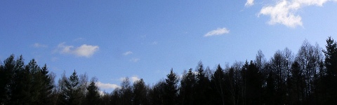 b0068572_65053.jpg