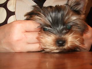 e0120072_003652.jpg