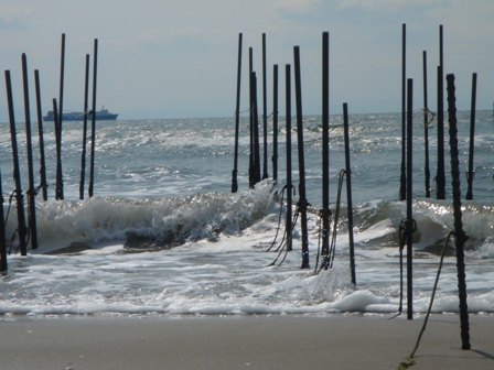 c0135480_1540110.jpg