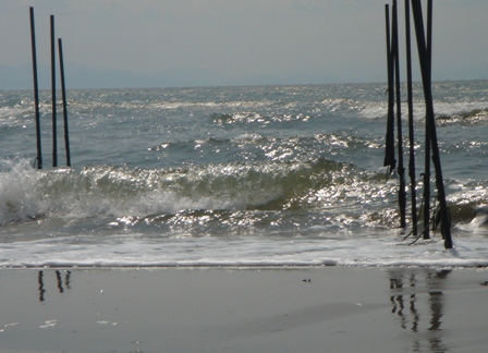c0135480_15424456.jpg
