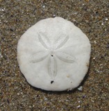 c0135480_15463014.jpg