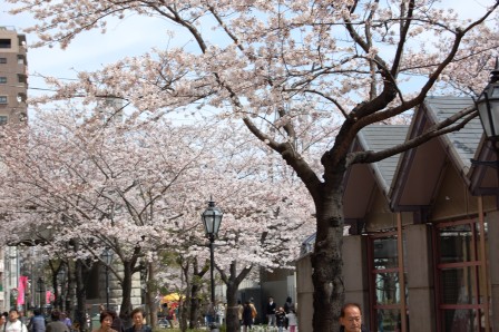 b0082484_23355271.jpg